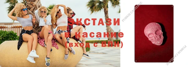 стафф Новозыбков