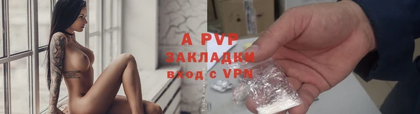 стафф Новозыбков