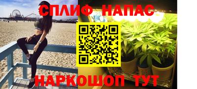 соль ск Бийск