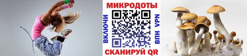 Галлюциногенные грибы GOLDEN TEACHER  omg ссылки  Иваново 